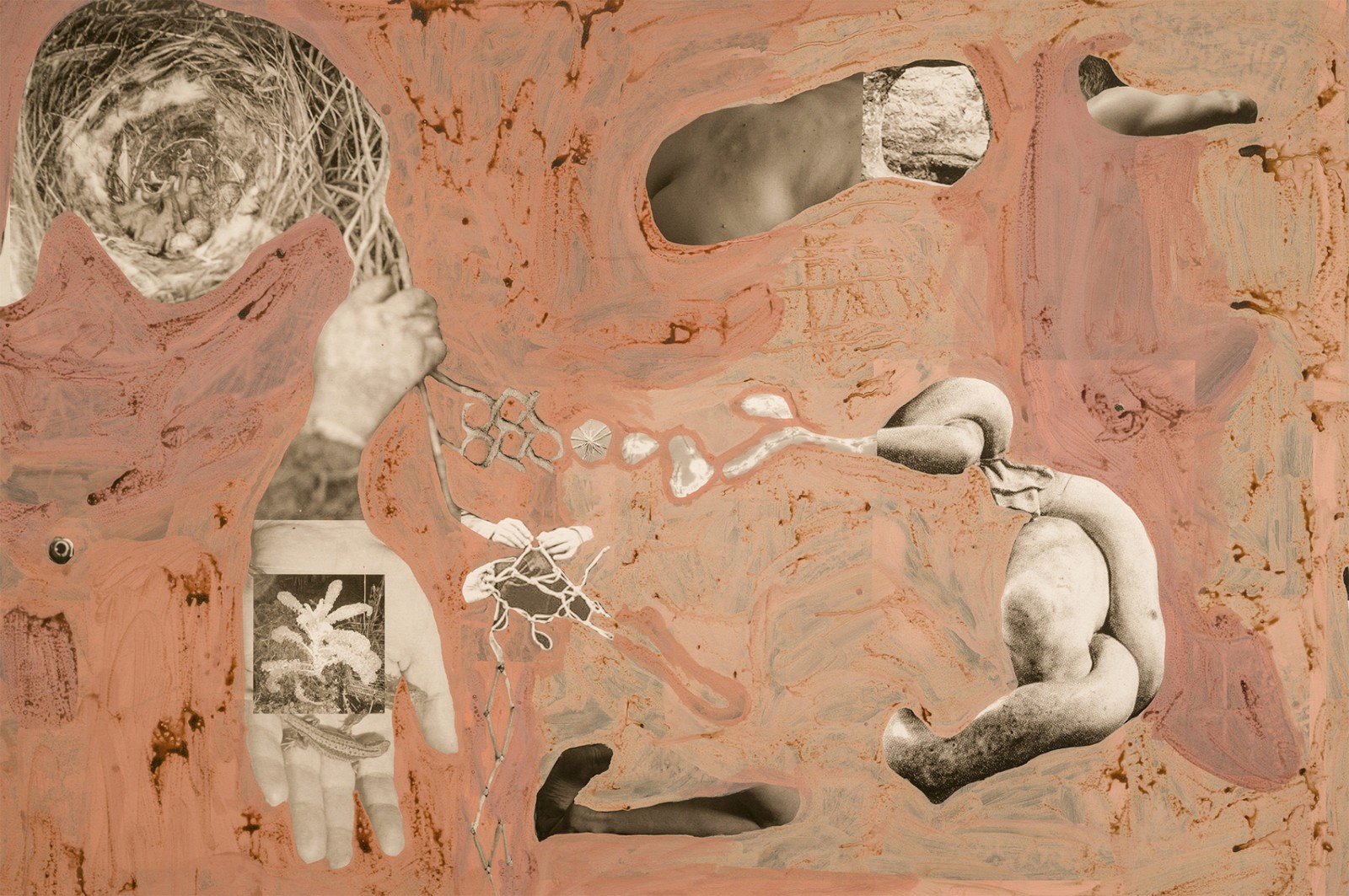 圖十二、《地勢(shì) (關(guān)于時(shí)間，關(guān)于身體)》 (細(xì)節(jié)圖)，O?zlem Alt?n，2019