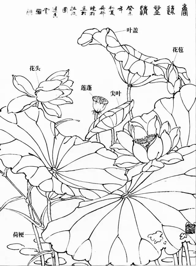 圖片